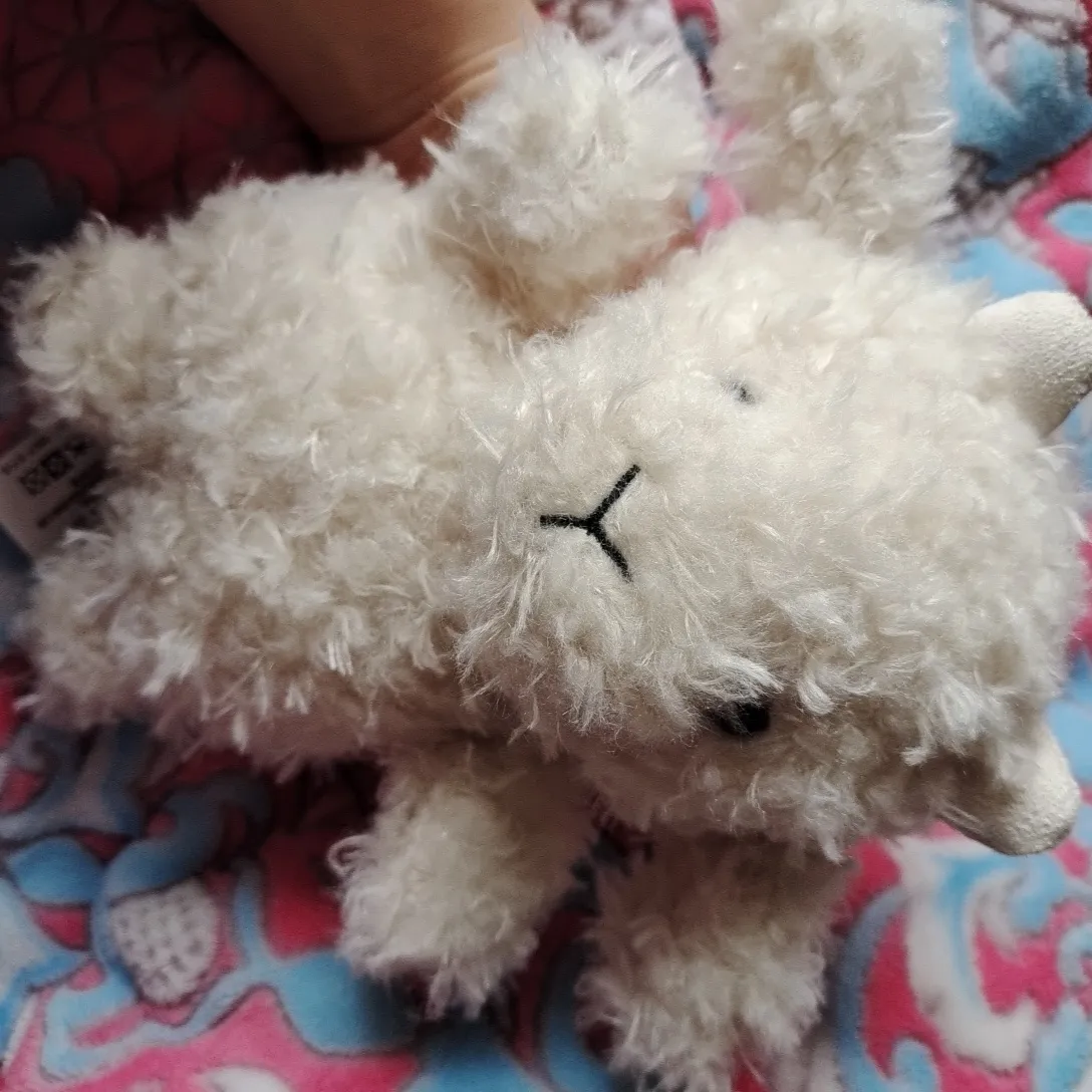 POIZON