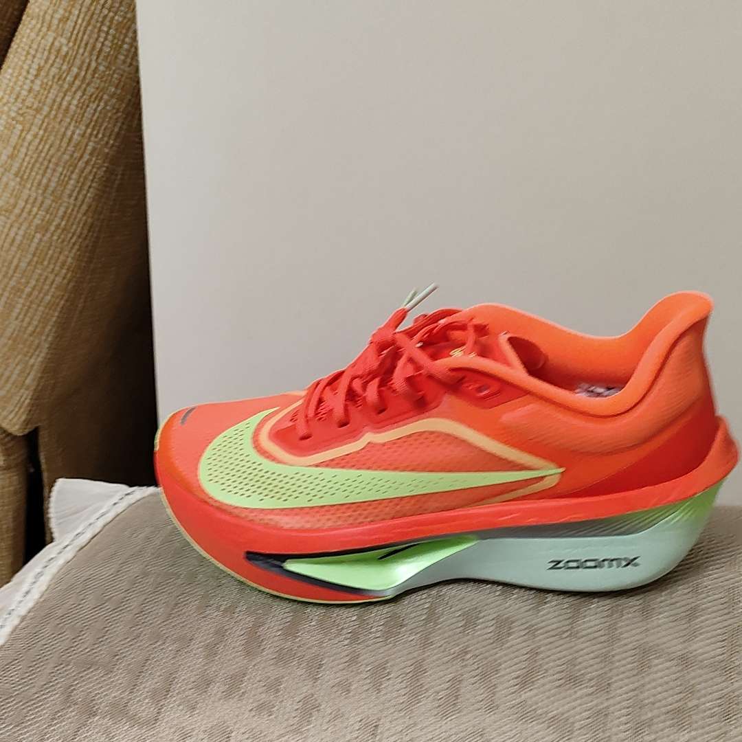nike zoom fly dicks