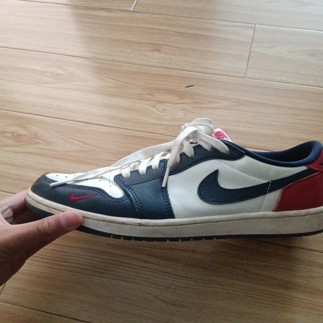 fake jordan bloodline