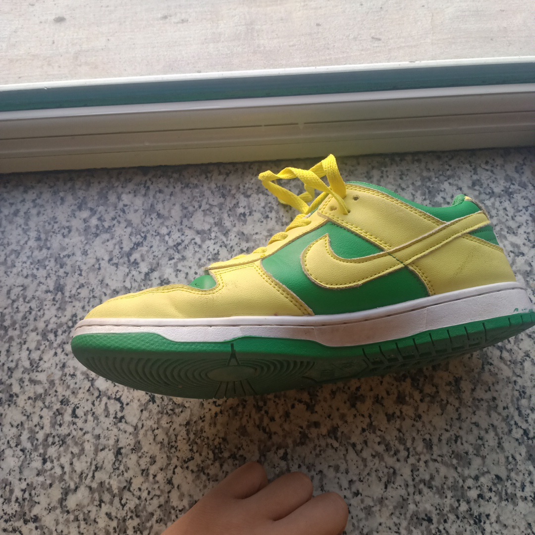 fake brazil dunks