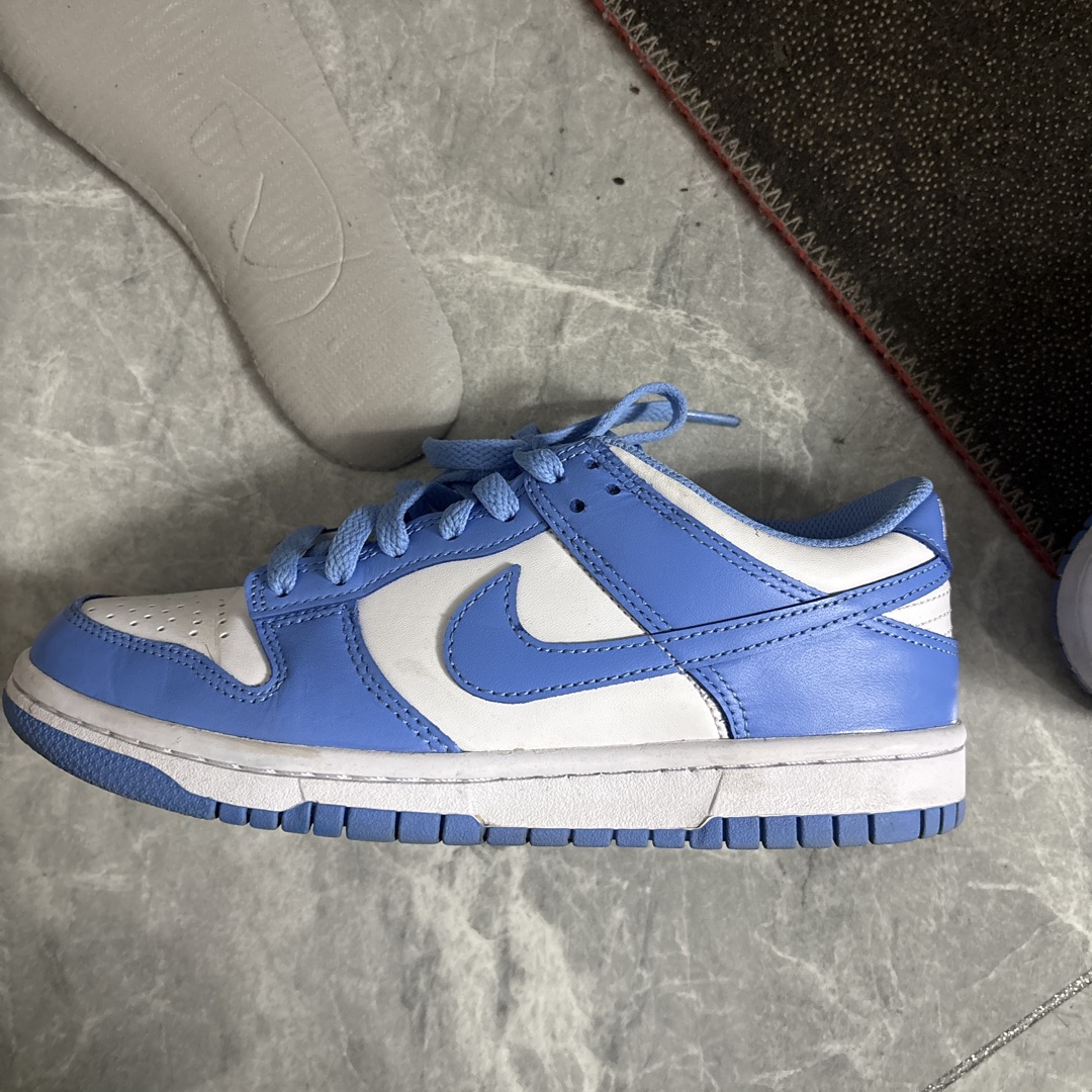dunk low coast fake