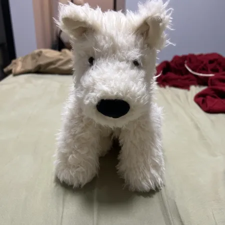 POIZON