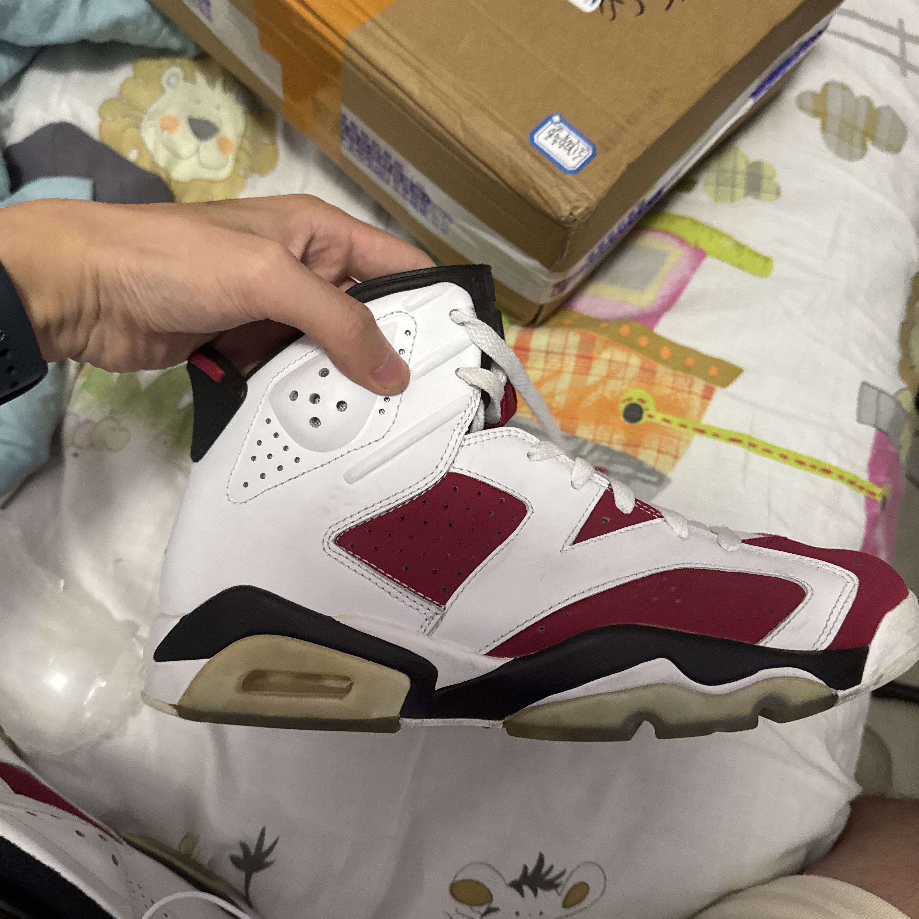 carmine jordan 6 on feet