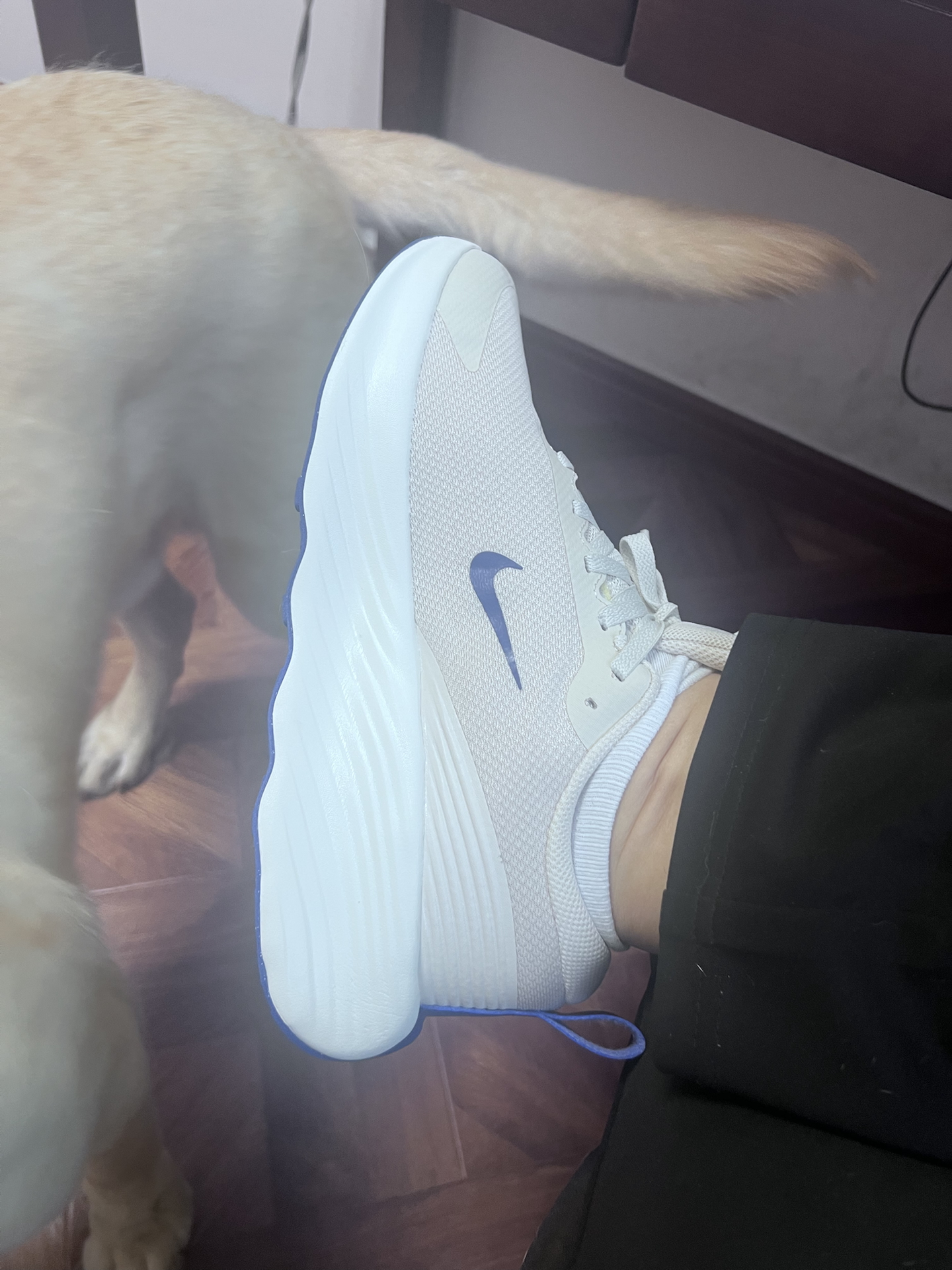 Фото из отзыва