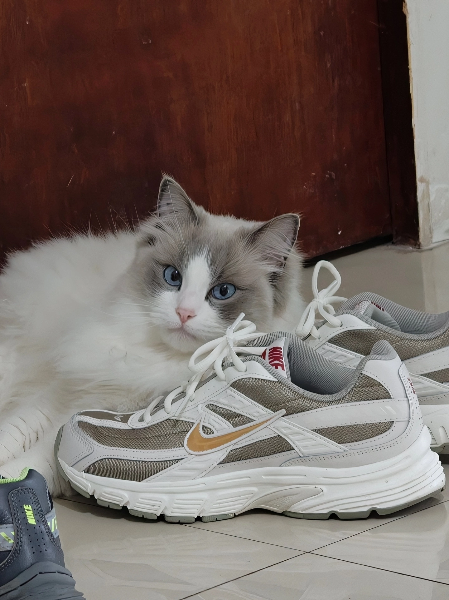 Фото из отзыва