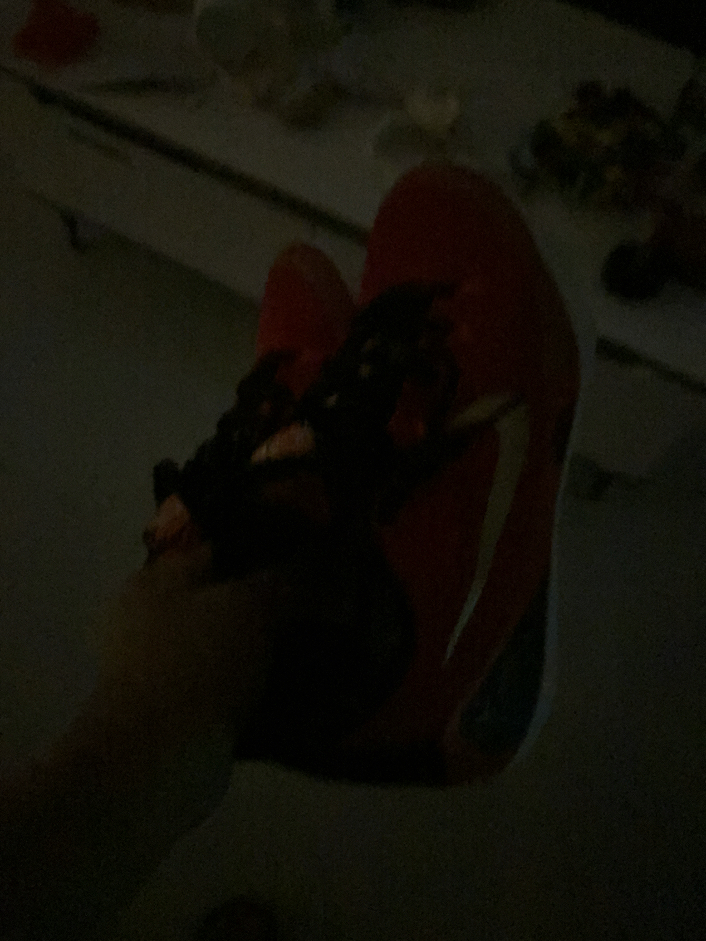 Фото из отзыва