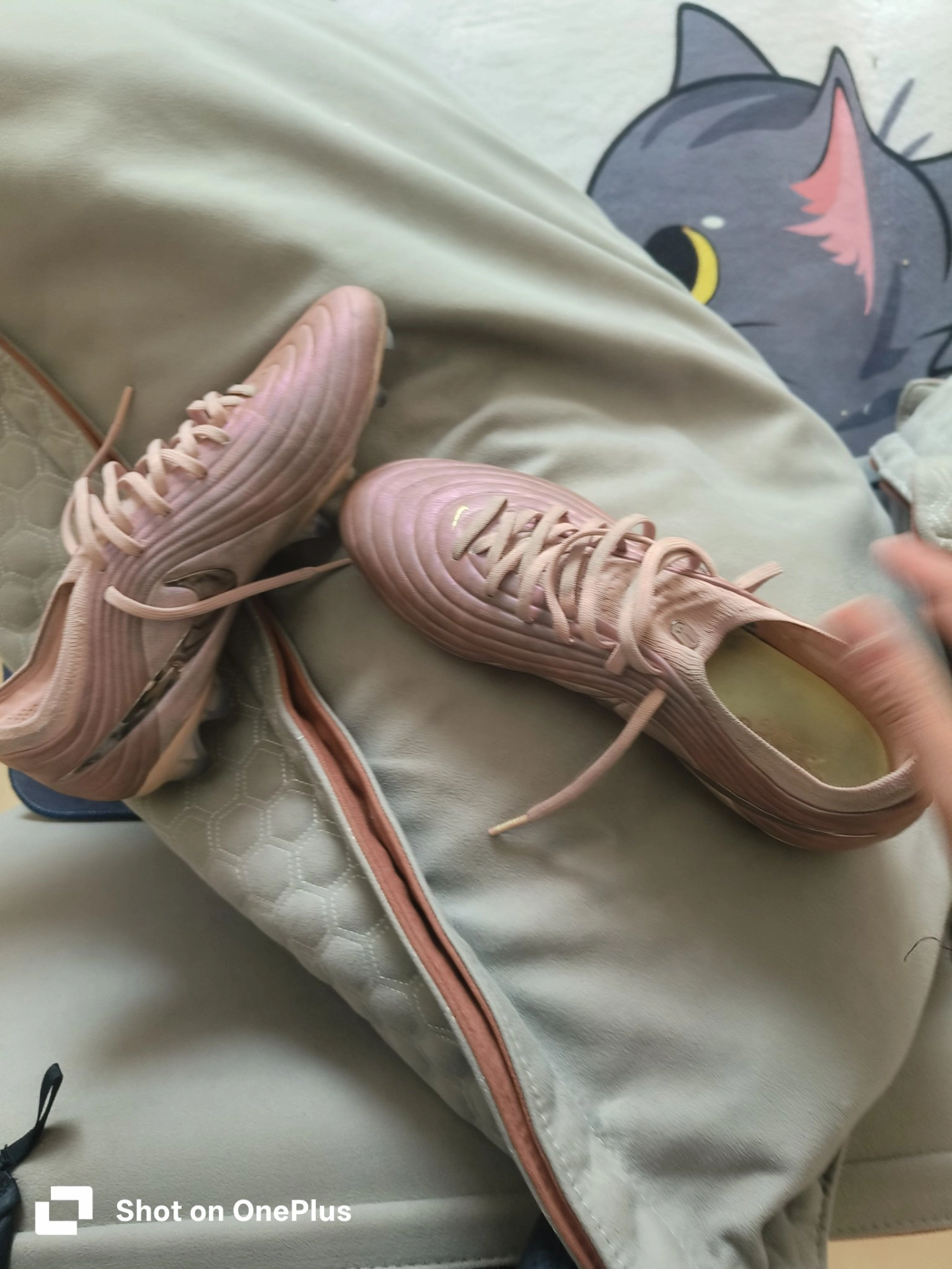 Фото из отзыва