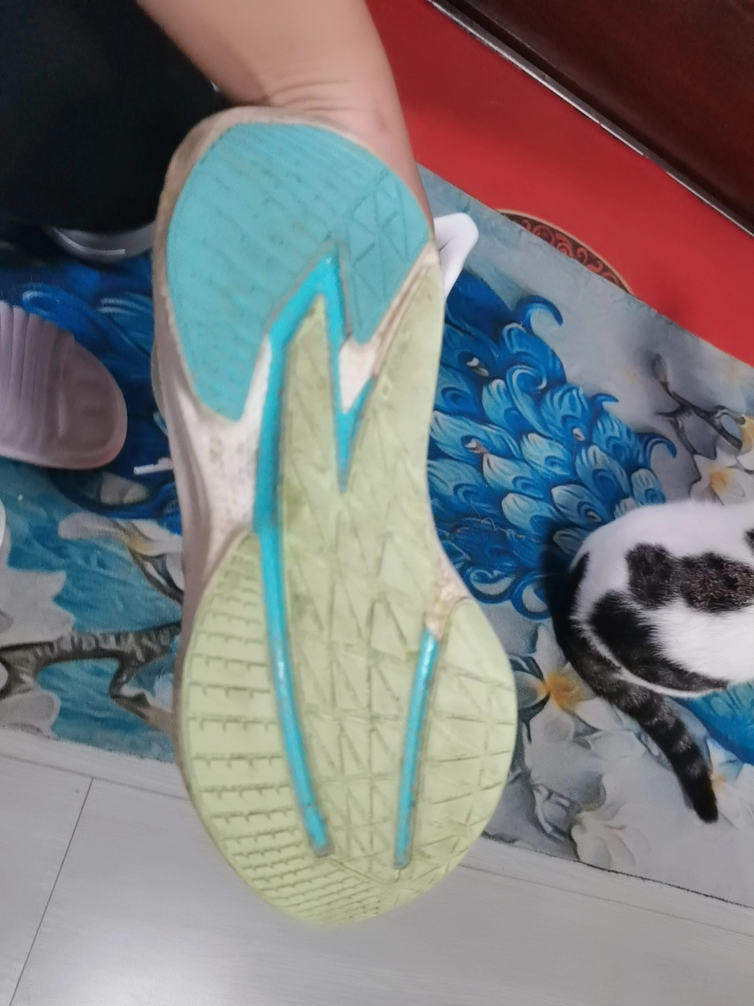 Фото из отзыва